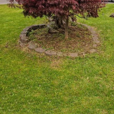 LAWN CARE