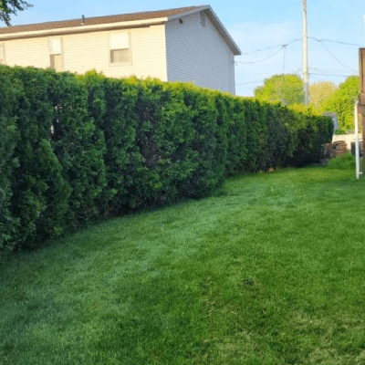 YARD CARE